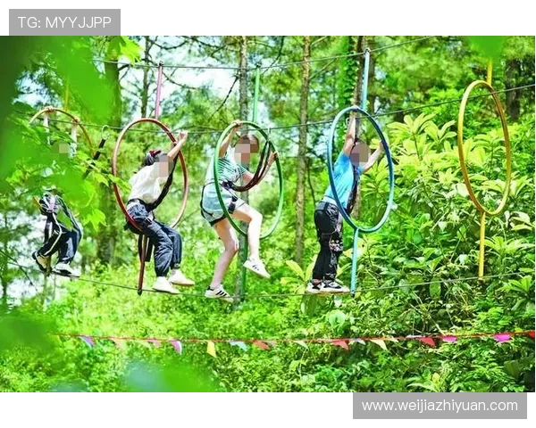 吴丽独家分享极限运动心得与技巧助你挑战自我突破极限体验无限乐趣