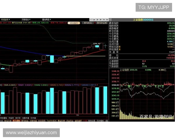 广州滑板队防守策略分析与比赛表现评估